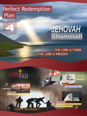 cover image of Perfect Redemption Plan 4